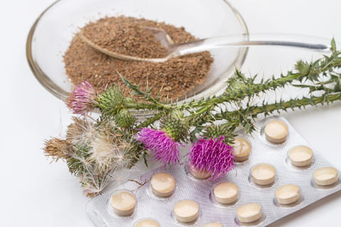 Traditional herbal medicine uses for milk thistle.